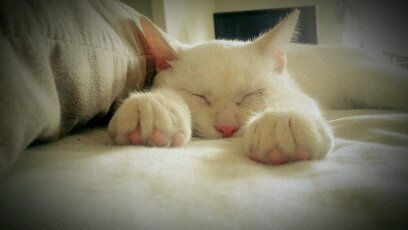 lauki1012's profile picture. 