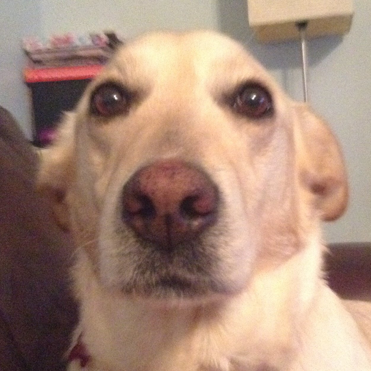 MelansonMadison's profile picture. 