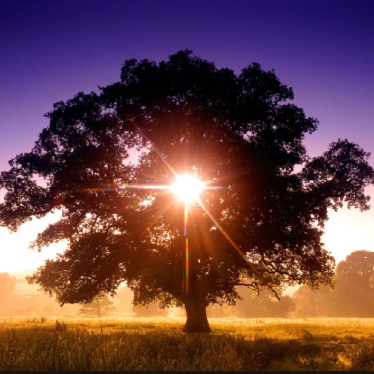 To enlighten is to provide an unknown mind the tools to discover their place in this world