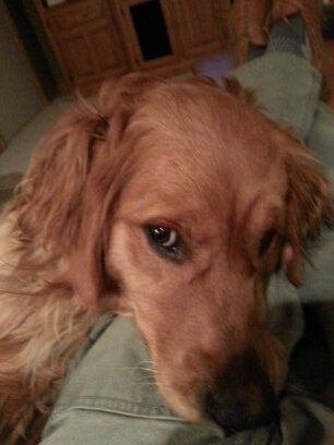 pastabambino's profile picture. 