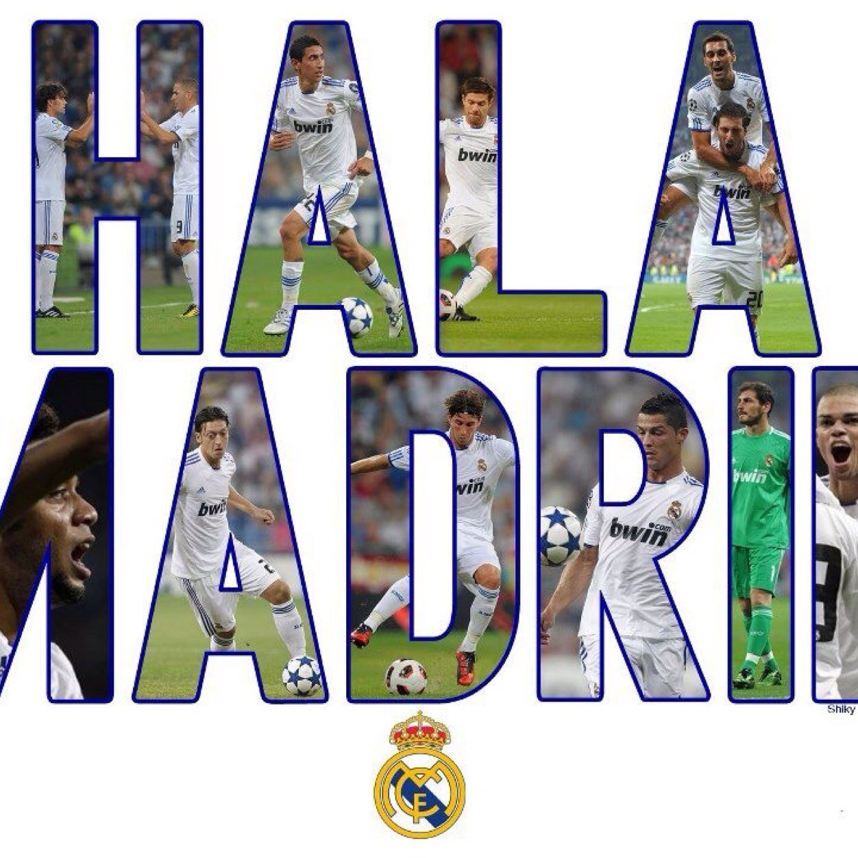 Noehernandez77A's profile picture. 