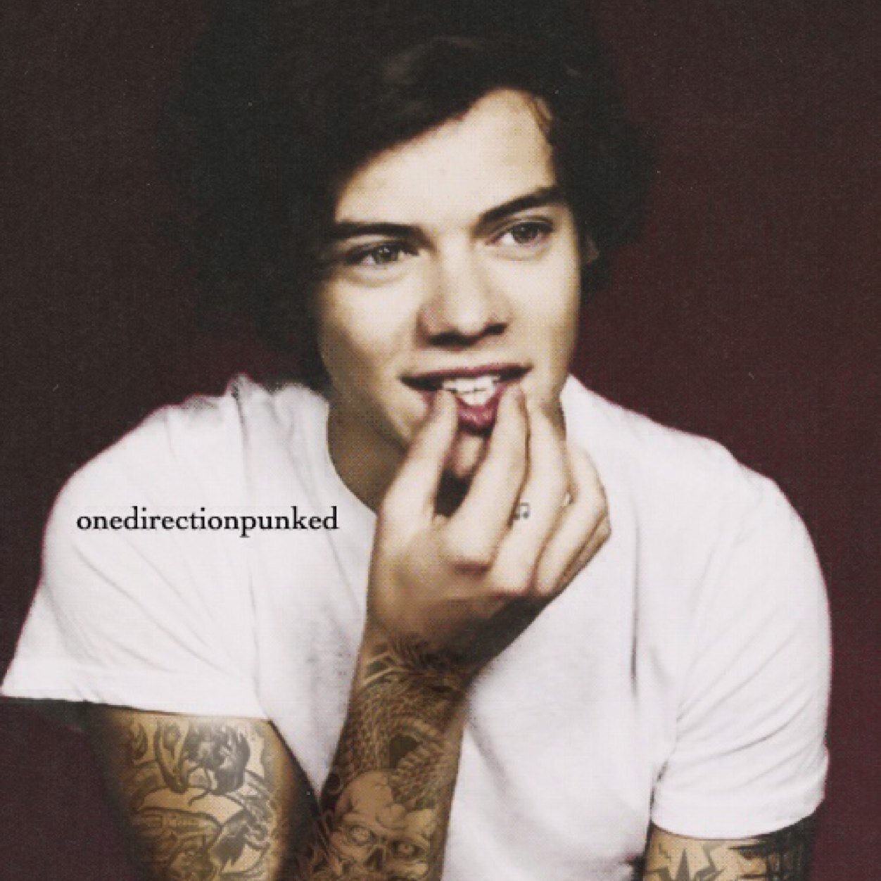 OakleyStyles's profile picture. #mylifeasafangirl My life has never been perfect but its perfect with 10 amazing idols/idiots :)
Tyler, Harry, Louis, Liam, Zayn, Niall, JC, Connor, Sammy, Jack