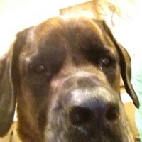 Neil Turner (@neilturner24) 's Twitter Profile