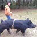 zak hicks - @deerhunter1996 - Twitter