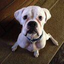 jody everett - @everett_jody - Twitter