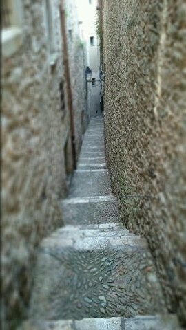 hmf_wasos's profile picture. 