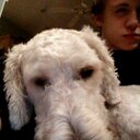 Joseph Bierman - @JosieBier - Twitter