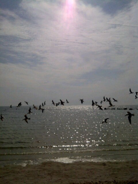 ImmaGoGetta301's profile picture. It is what it is