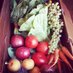 Heavy Dirt CSA (@heavydirtcsa) Twitter profile photo Heavy Dirt CSA (@heavydirtcsa) Twitter profile photo