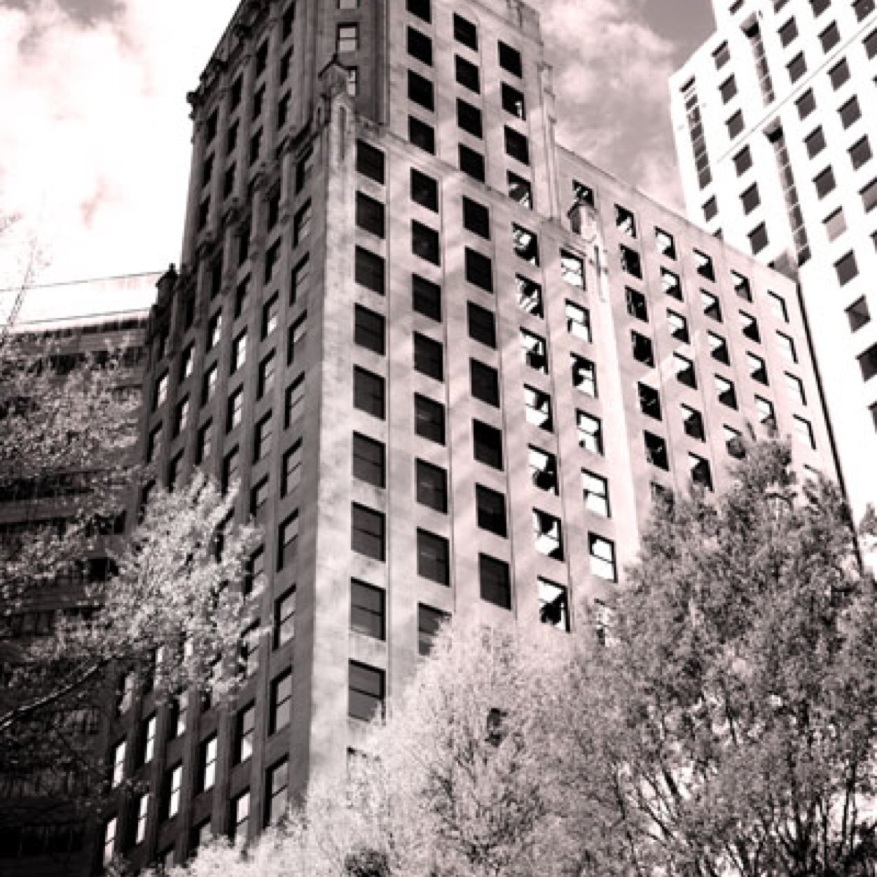 imageskuglerstu's profile picture. 