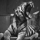 Craig Eck - @AlaskanTiger17 - Twitter