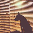 Orlando Angelo - @AngeloOrlando1 - Twitter