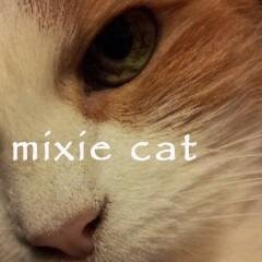 Mixie_Cat's profile picture. #Hippy #boho #usa #handmade #socal #charms #vape #accessories #smallbiz #seller #supplies #shopping #Etsy #rt #accessories #vape #ecig