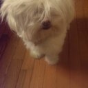 Tory  HS - @ToryHenderson - Twitter