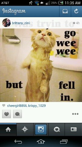 gorski_jason's profile picture. lol I like to get high