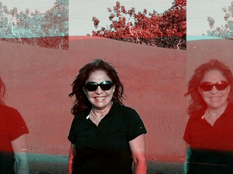 ManzanoBlanca's profile picture. Constructora de sueños y realidades