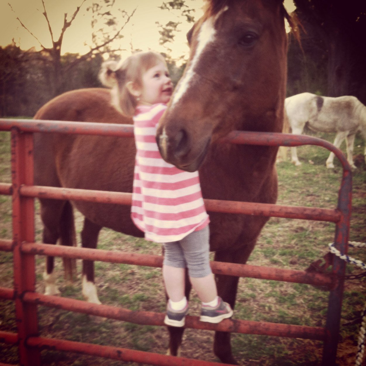 If there ever comes a day we cant be together, keep me in your heart, ill stay there forever.