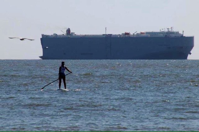 Brand partner with Young Living Essential Oils, the only company of it's kind in the world! Standup Paddleboarder/SUP surfer (my therapy and passion)!