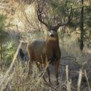 kyle abrahamson - @kyleabrahamson1 - Twitter