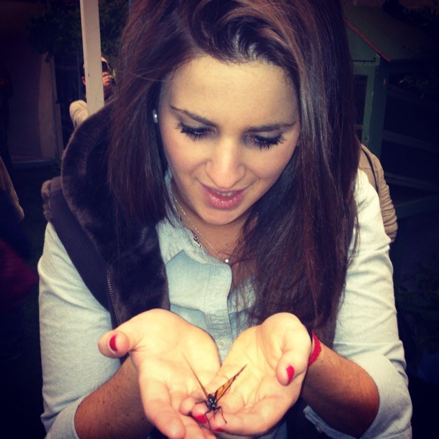 BrieBrieG's profile picture. 