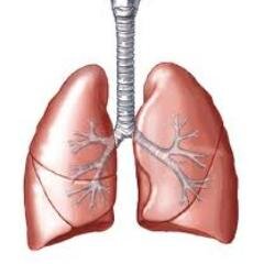 Respiratory news for Australian clinicians