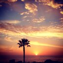 Melissa Hays - @cardiffsunlove - Twitter