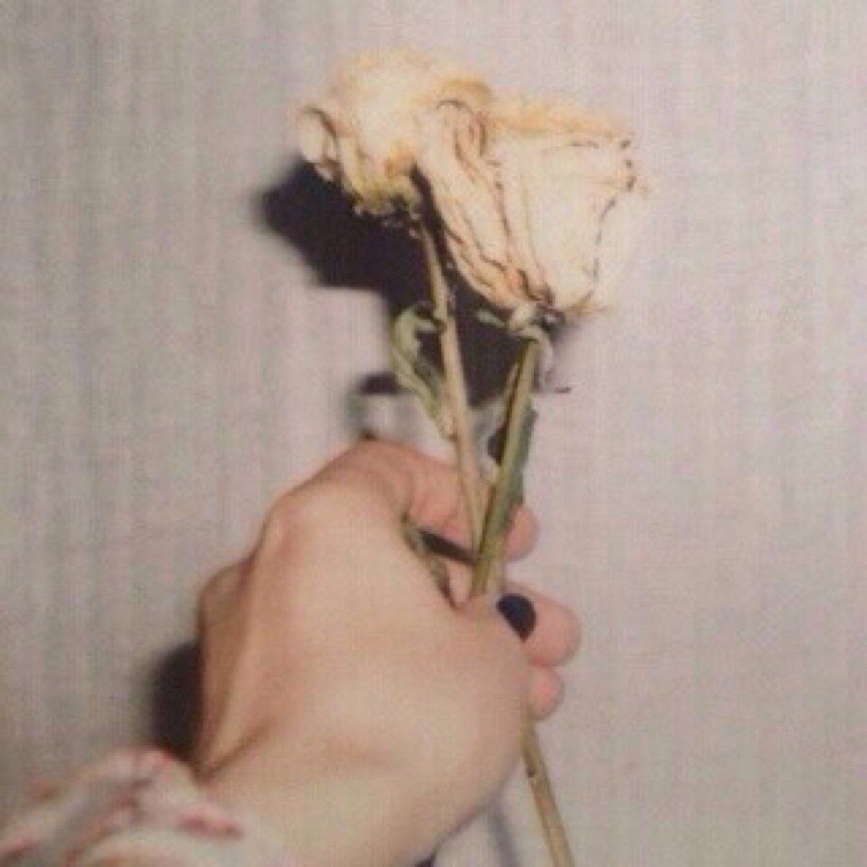 ‏يارب ايامًا جميلة تسعدنا تفاصيلها.()