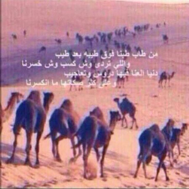 كلن علا همه سراي وانا علا همي تكيت