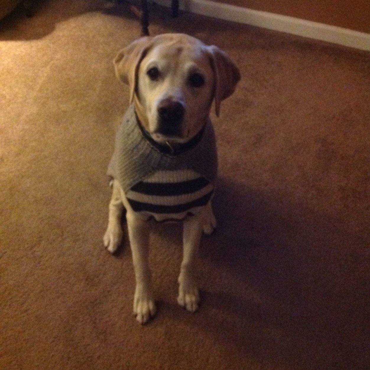 kathy_eichinger's profile picture. Redken certified colorist & Redken certified design stylist