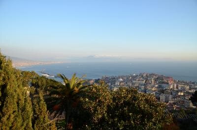 fentmsesice's profile picture. 