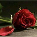 جواهر♡ (@0559981h2) Twitter