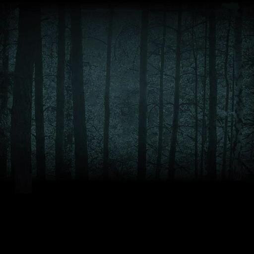 ParadoxFiles's profile picture. The Internet's Paranormal Directory. Our website http://t.co/JLLeZjQXiK™ is your premier source for paranormal information and paranormal reference.