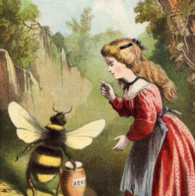 tessbaskets's profile picture. Beekeeper