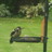 Bird1691's profile image