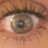 AubreyNelson11's profile image