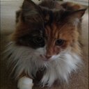 Francis Wright - @garrissa - Twitter