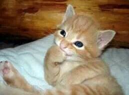 amseim123's profile picture. 