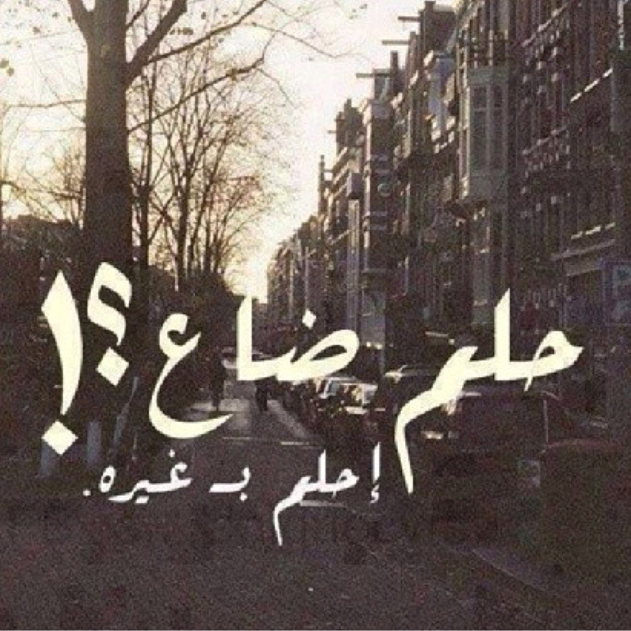 Fornicating101's profile picture. 