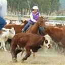 Jayne  Hammond Jayne - @Jaynefhamnd1078 - Twitter