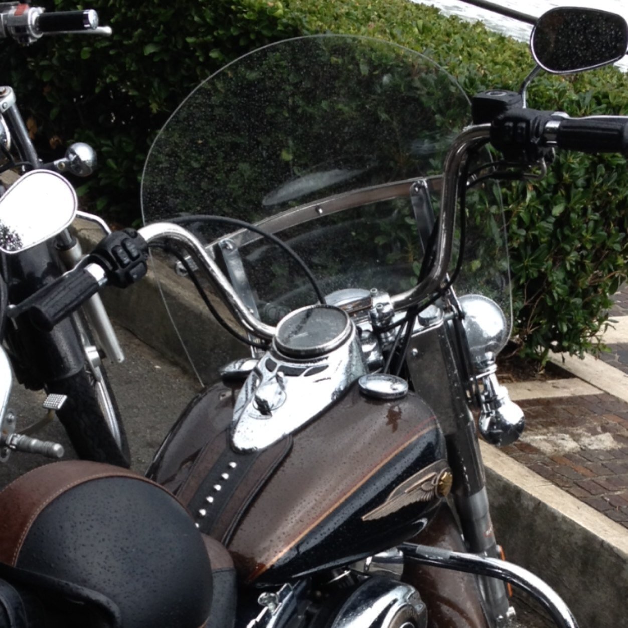 BearEagle1016's profile picture. 