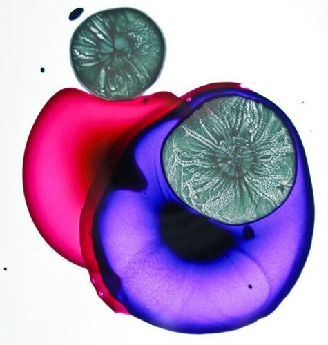 cweeldreyer's profile picture. UX and stuff.