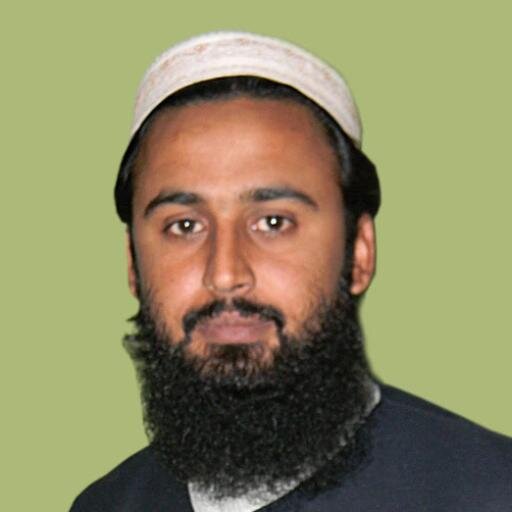 Microsoft .Net Software Engineer