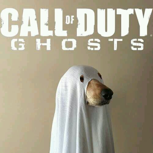 Titanfall, COD, and everything your little heart desires