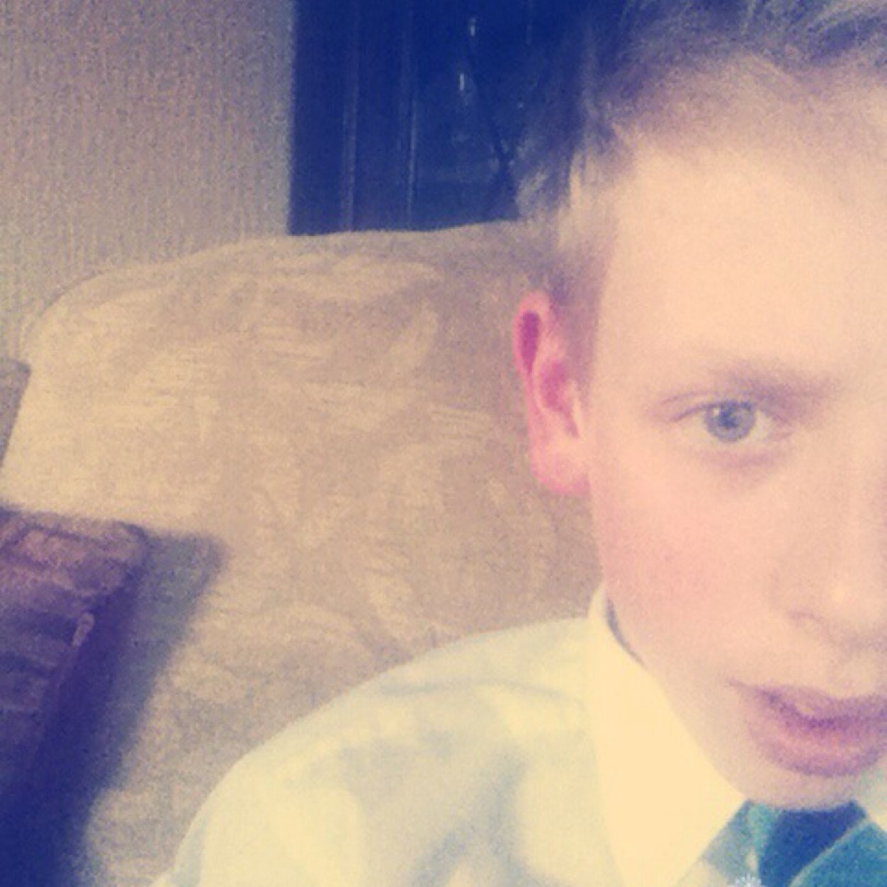 Sheffield//blades fan//14