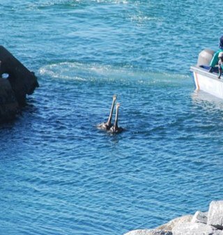 MicheleSdewet's profile picture. 