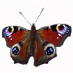 Directory of smallholding courses and smallholder training in the UK and beyond: chickens, pigs, cattle, goats, beekeeping, self-sufficiency, permaculture.