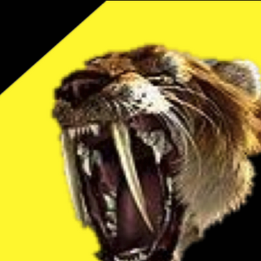 Live coverage of Richmond Tigers campaign for the 2014 Premiership.