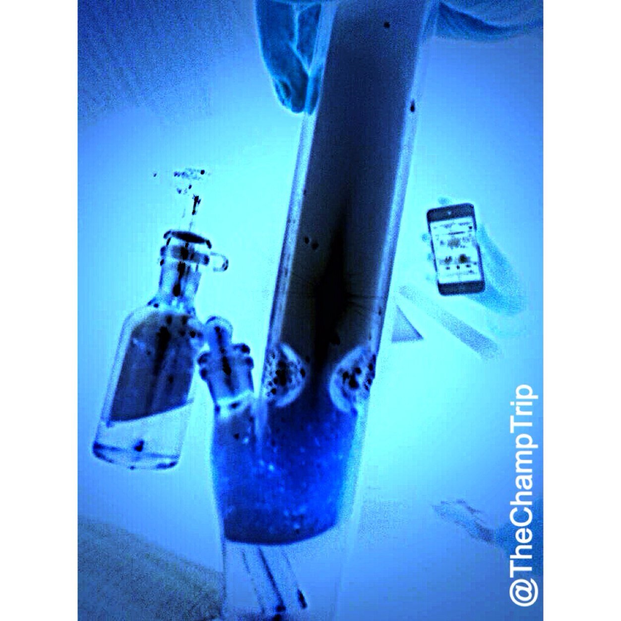 Want to be apart of TheChampTrip? Submit photos to us on here or instagram and their name! #TheChampTrip IG: @TheChampTrip #TeamBuddah #StonerNation #StonerFam