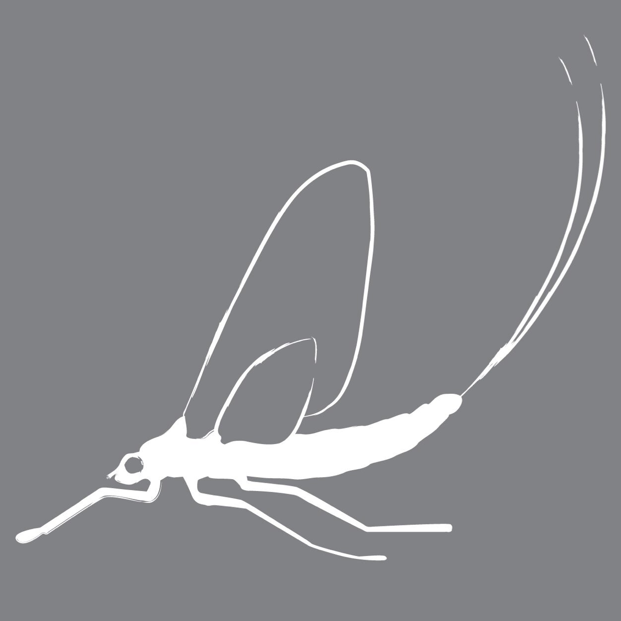 mayflyvintage's profile picture. Online Antiques & Interiors Shop based in Wiltshire- UK & International shipping #Lighting #Antiques #interiors