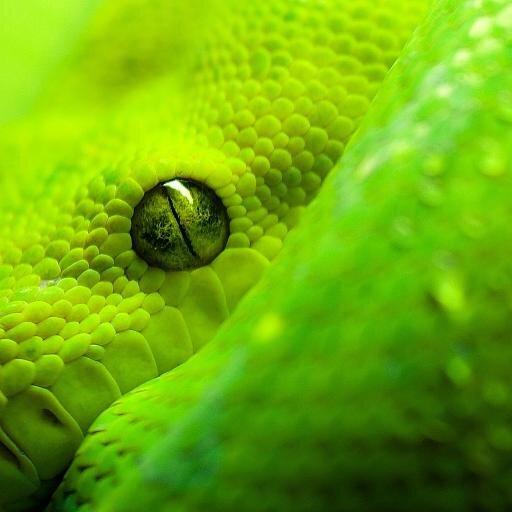http://t.co/TTqsHnt4nT